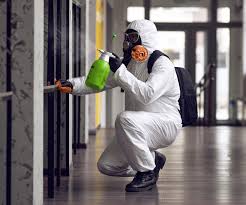 Best Environmental Consulting for Mold Prevention  in St George, KS